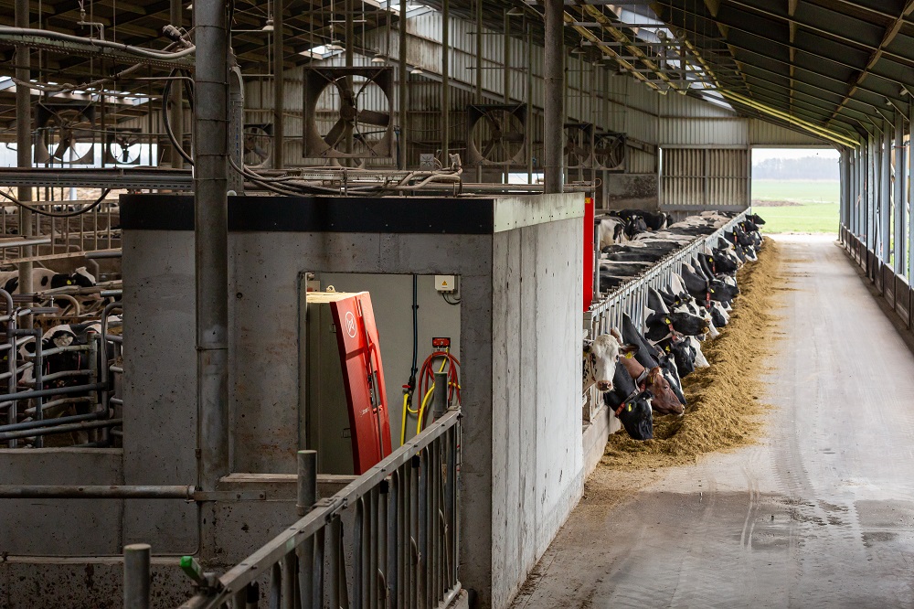 We besparen 15 arbeidsuren per dag enkel rondom het melken - Lely