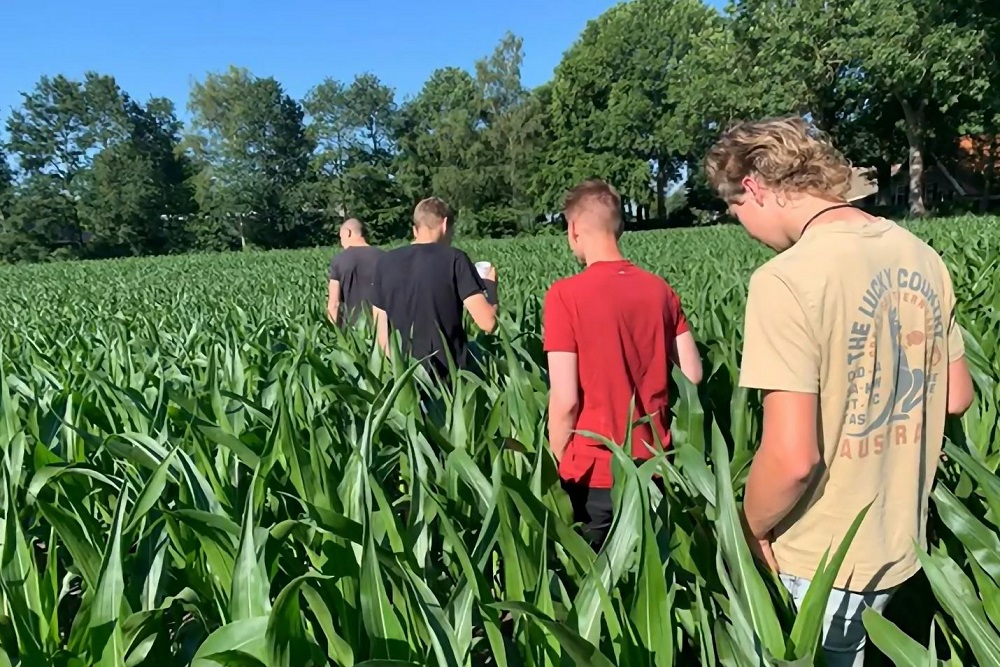 Mooie scores bij tussentijdse veldcontroles MaisChallenge