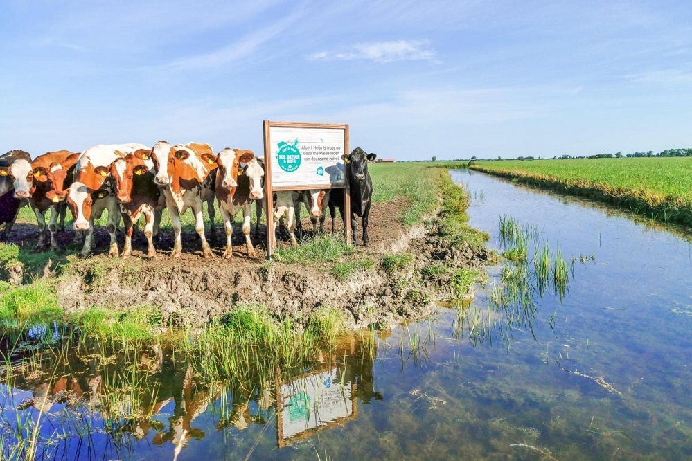 Uniek koolstof-bodemproject Albert Heijn en Royal A-ware