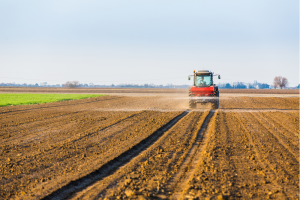 Stikstofoverschot landbouw op zijn laagst sinds 2014