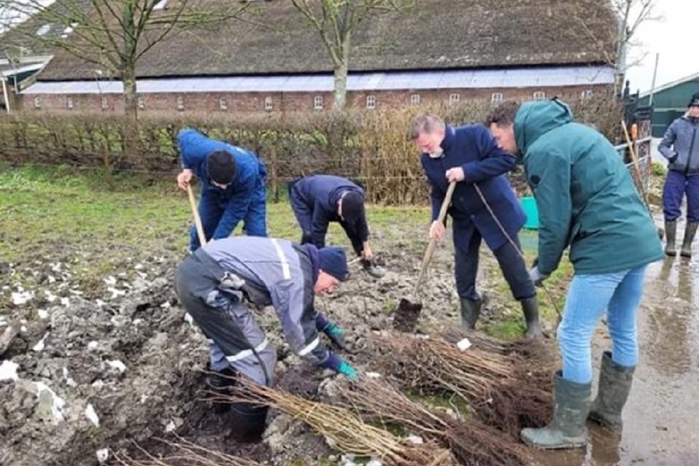 Boeren met Bomen: 20.000 bomen geplant door melkveehouders