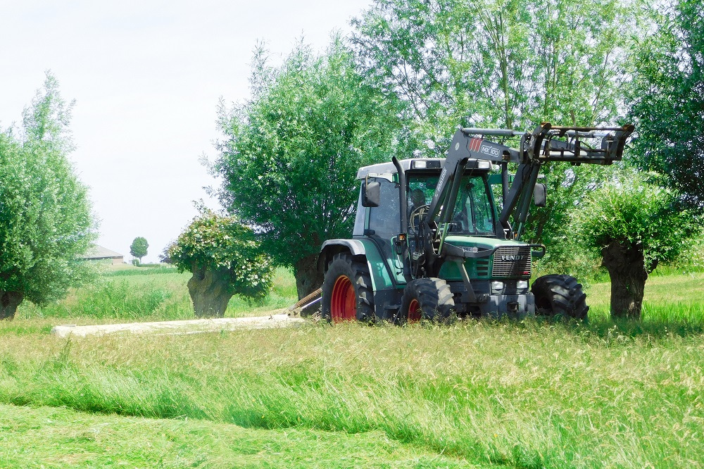 Landschapselementen in het GLB