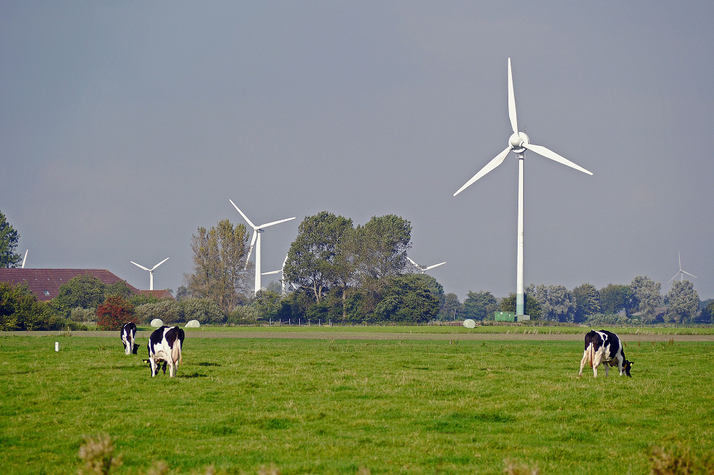 Interview - Waterstofproductie: 'nu nog niet, maar in de nabije toekomst wel'