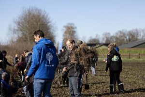 Arla Foods, Trees for All en BoerenNatuur willen 125.000 bomen en struiken planten met boeren