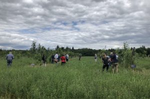 Agroforestry-project van start in de Haarlemmermeer