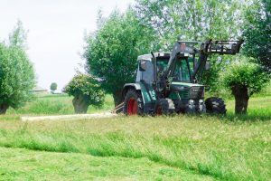 Grasland compenseert grootste deel broeikasgas Duitse rundveehouderij