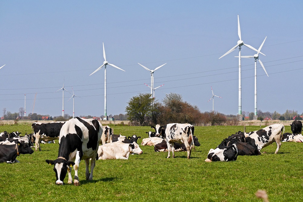 Maak boeren niet de dupe van storingen rVDM