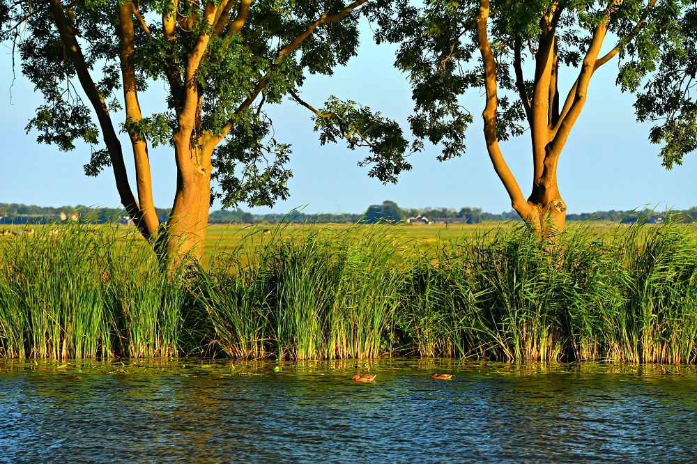 Inzet waterlopen als landschapselement bij GLB-aanvraag