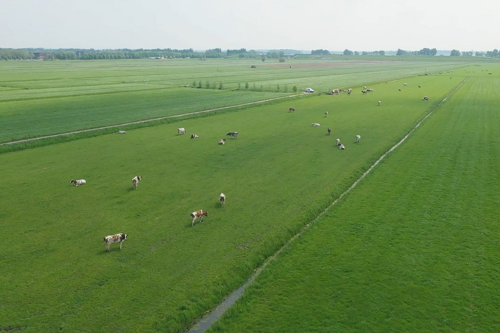 Bezoek één van de Ruwvoerdagen deze zomer