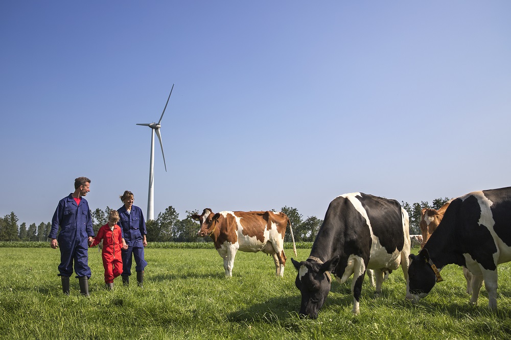 Fors lagere winst voor FrieslandCampina, geen nabetaling over eerste helft 2023