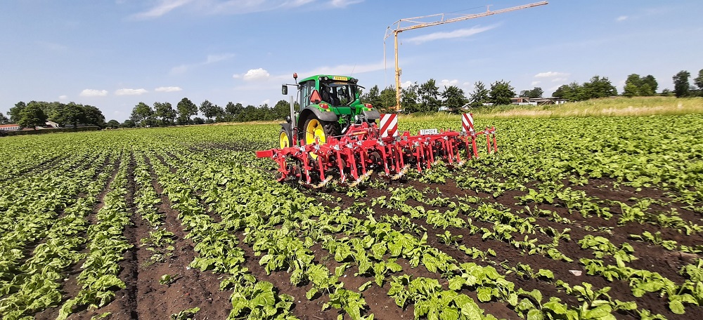 Gewasbescherming is een aandachtspunt in voederbieten. Het aantal toegestane middelen zal de komende jaren afnemen. Daarom is het belangrijk te kijken naar mechanische alternatieven. In samenwerking met loonwerkbedrijf Hofmeijer geeft importeur Reesink op het bietenperceel van Vossebelt een demo met een Einböck schoffelmachine met camerabesturing.