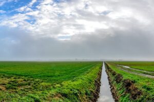 Deze subsidie van waterschap Vallei en Veluwe helpt je om water vast te houden