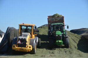 Het inkuilen van najaarsgras vraagt extra aandacht