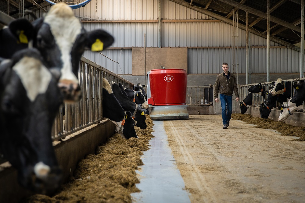 Optimaal voeren met het oog op de gezondheid van de koe