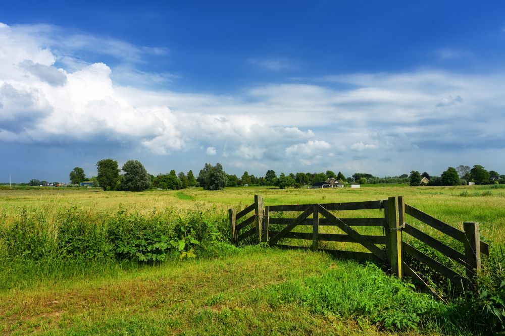 Praktische podcasts over regeneratieve landbouw