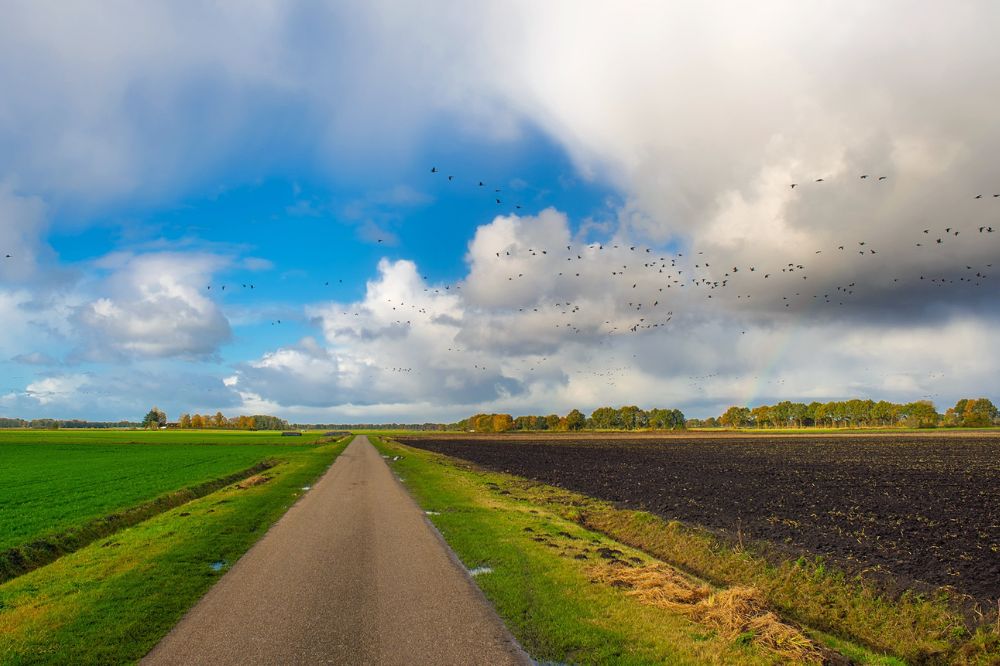 Maatwerkregeling Agroprogramma opent op 1 december