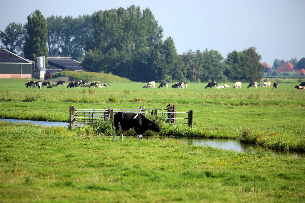 Te veel regels: ondernemers zien door de bomen het bos niet meer