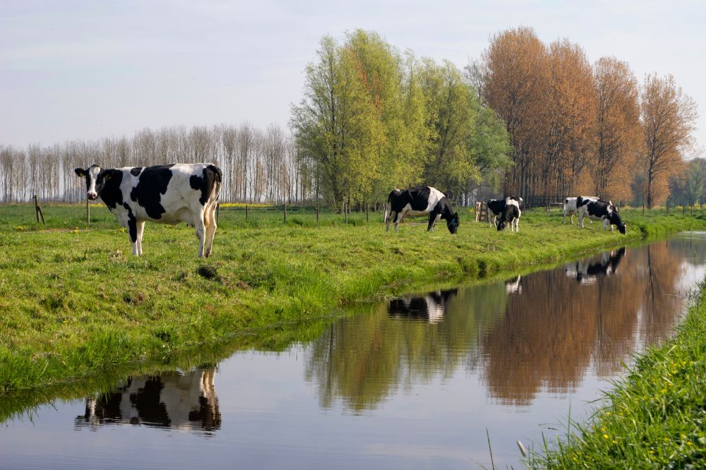 GLB-premies waarschijnlijk toch volledig uitgekeerd