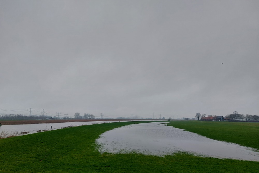 Groenbemester als oplossing gevolgen wateroverlast