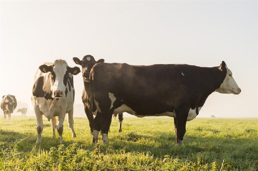 "Met natuurinclusieve landbouw verdien je een goede boterham"