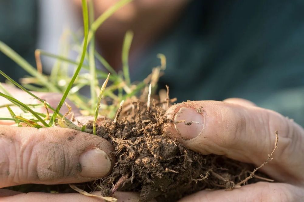 Zo maak je optimaal gebruik in korrelmeststoffen met ureum