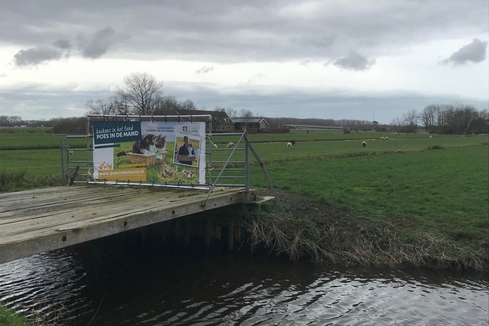 Kuikens in het land, poes in de mand