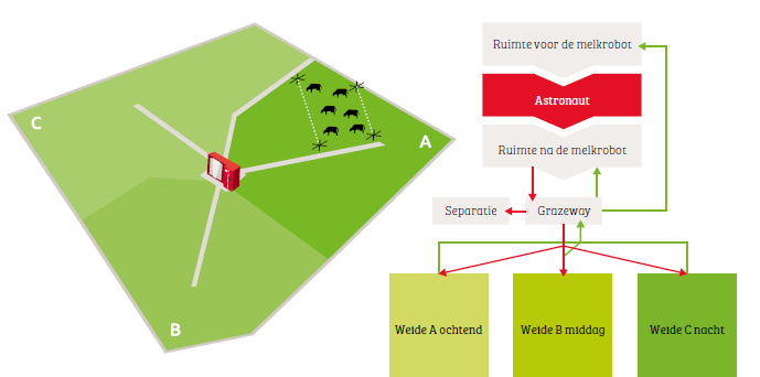 Familie Lambert: Maximaal beweiden met het ABC-systeem