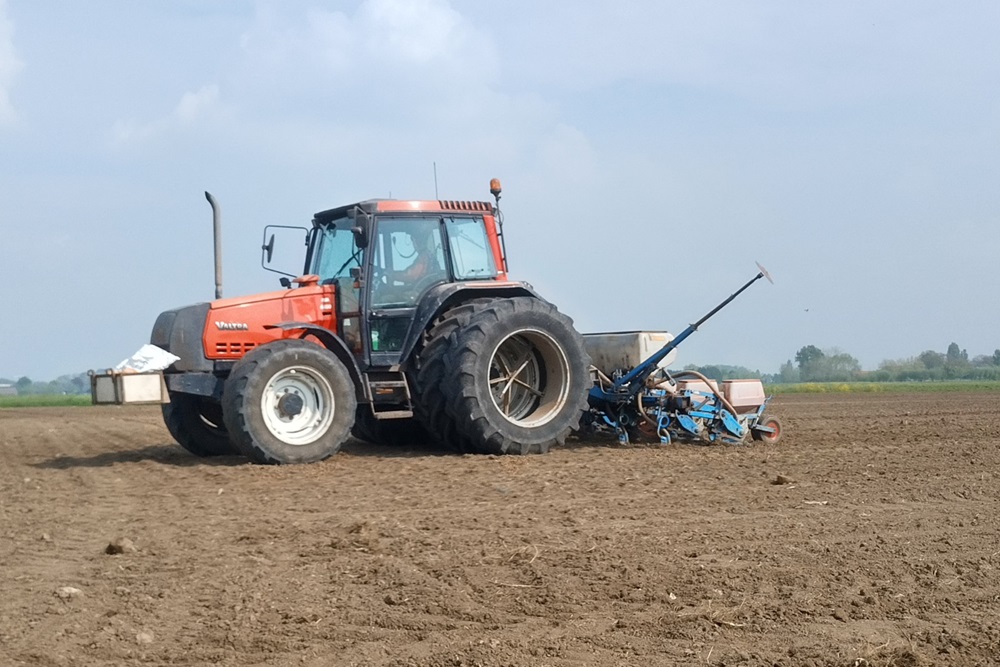 Maisschade door roeken - meld je schade tijdig