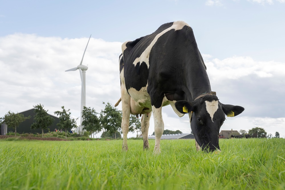 FrieslandCampina-melkveehouders ontvangen ruim 245 miljoen euro aan toeslagen voor hun duurzaamheidsprestaties in 2023