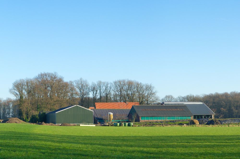 Nieuwe ontwikkelingen bij kavelruil in het landelijk gebied