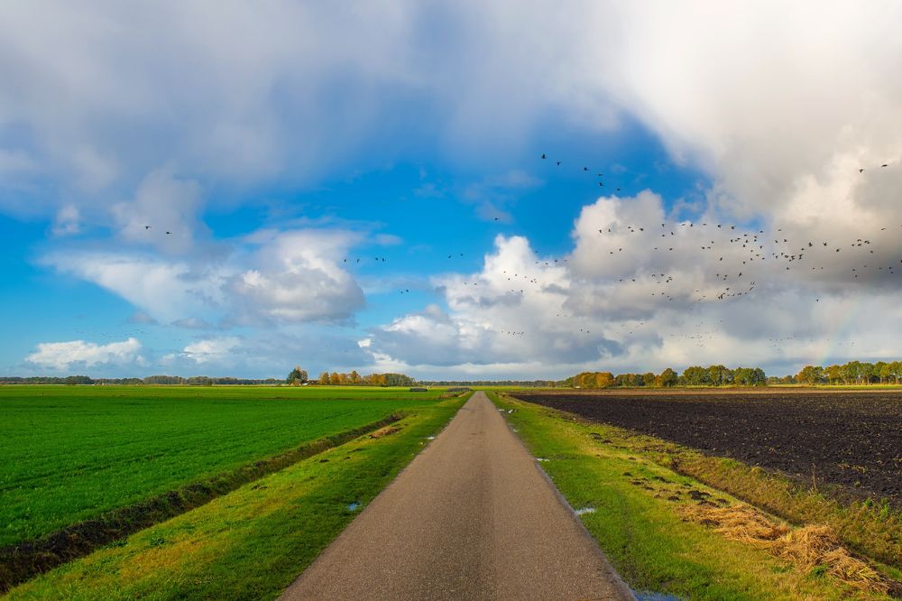Agrarische grondprijs is in het tweede kwartaal 2024 met 7,1 procent gestegen