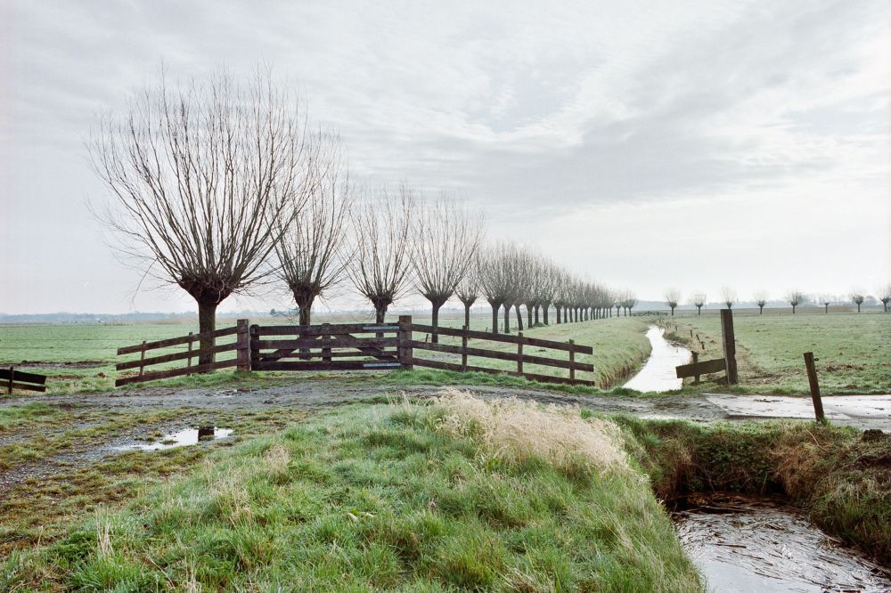 5 miljoen subsidie voor versterking netwerk landschapselementen