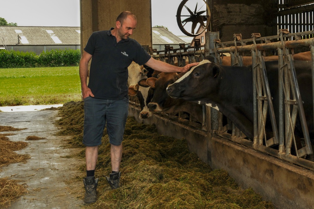 Een hoge melkproductie zonder maïs en soja: het kan
