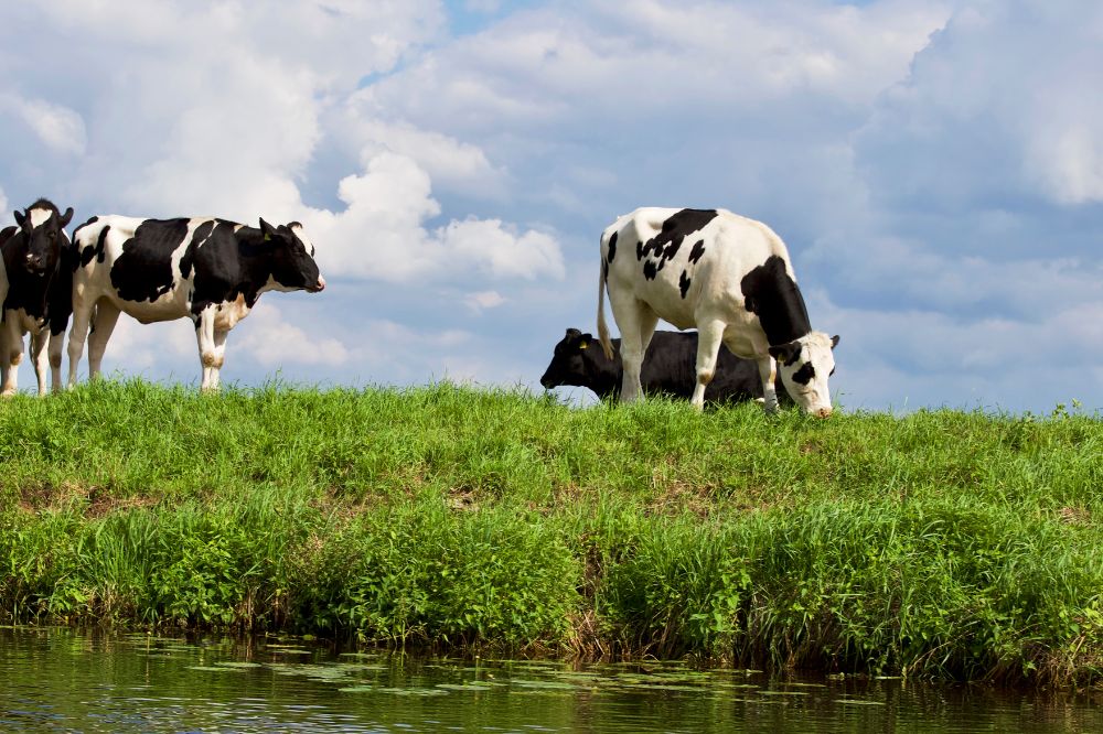 Voorkom afspoeling door het verplaatsen of blokkeren hot spots