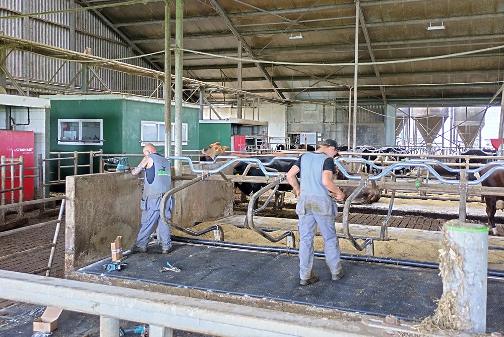 Vakmanschap werkt bij verlagen ammoniakemissies in de melkveehouderij